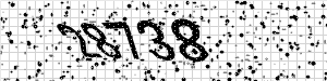 CaptchaImage